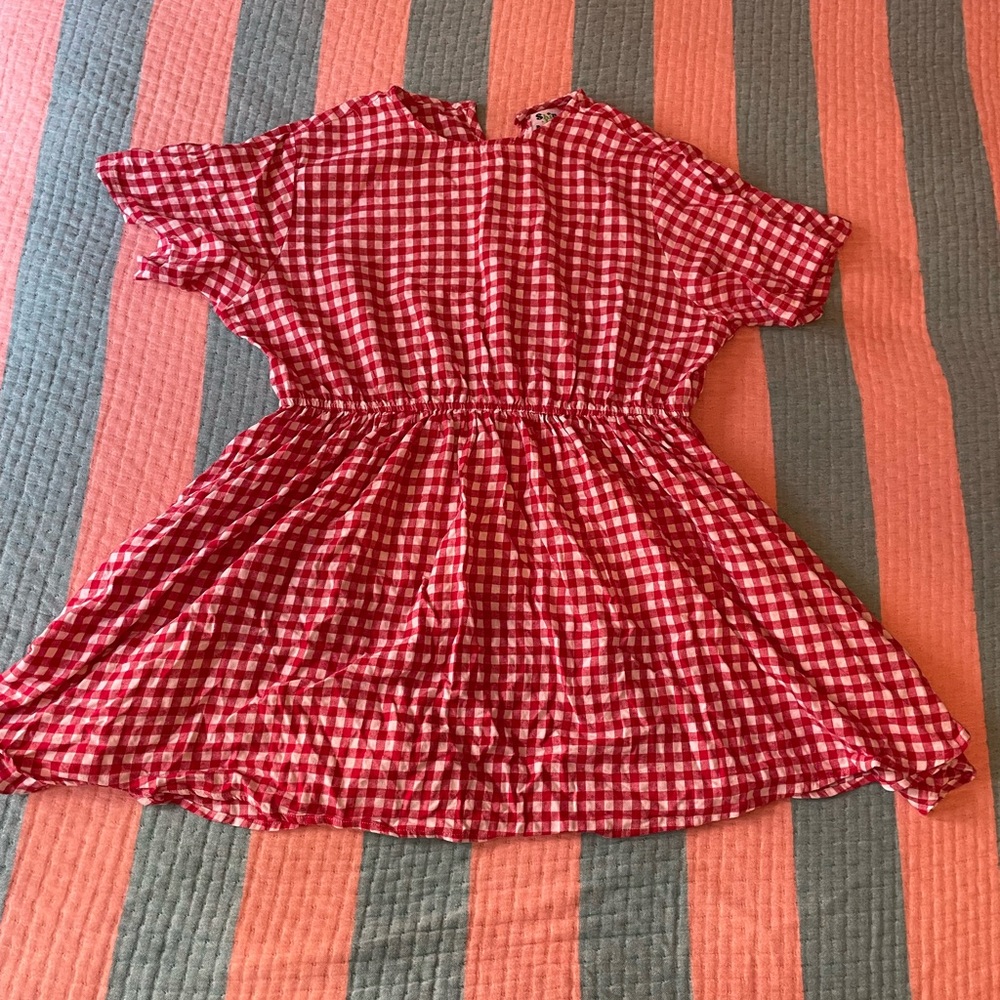 Shiny By Nature gingham dress